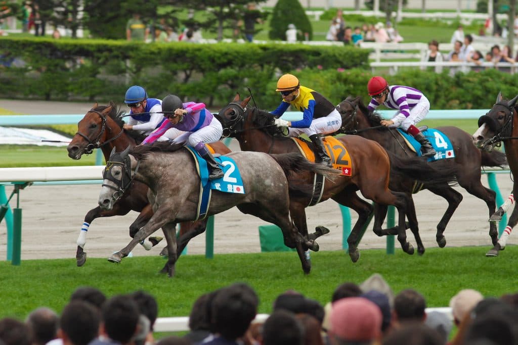 新潟日報賞・関東馬と関西馬の火花散る。