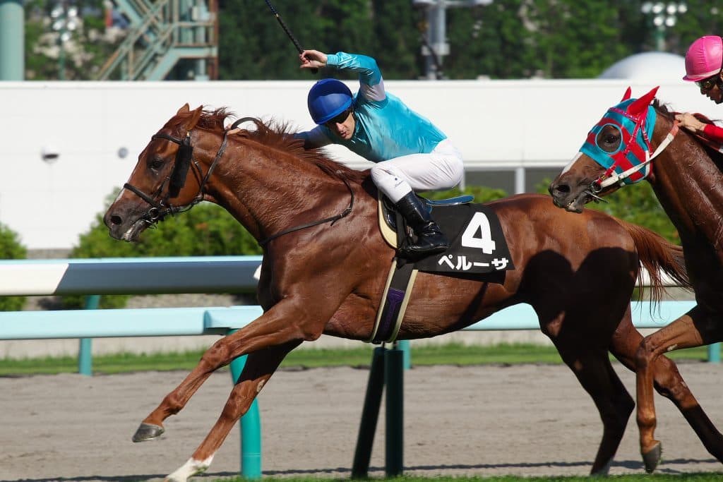 【札幌日経オープン】ここはジョッキーの腕前が大事