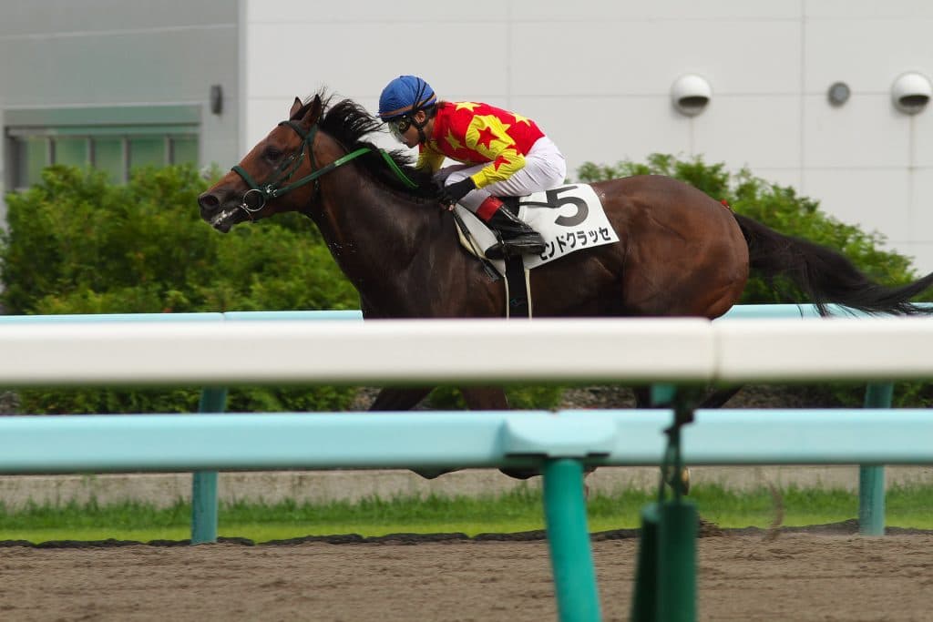 【エルムS予想2016】人気上位3頭ピックアップ！重要なのは人気上位の取捨選択