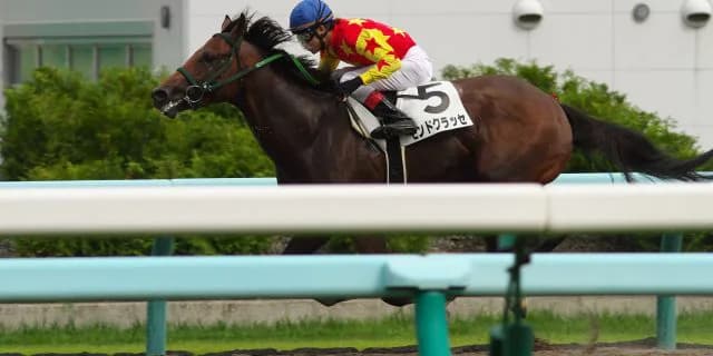 【エルムS予想2016】人気上位3頭ピックアップ！重要なのは人気上位の取捨選択