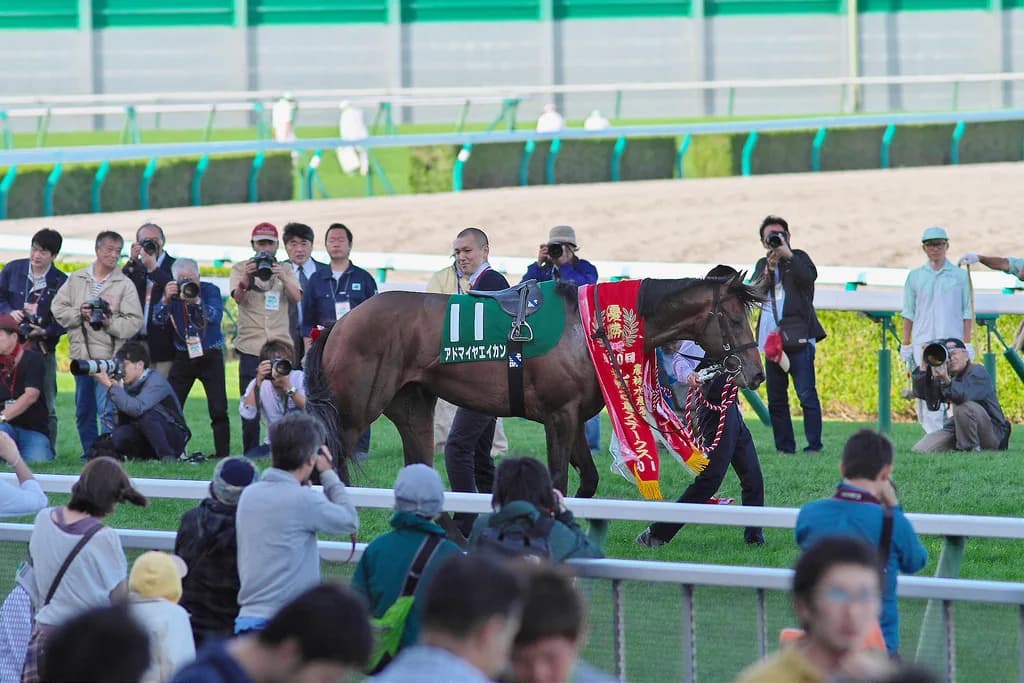 【札幌2歳S予想2016】2歳重賞は経験値の多い馬を狙え！