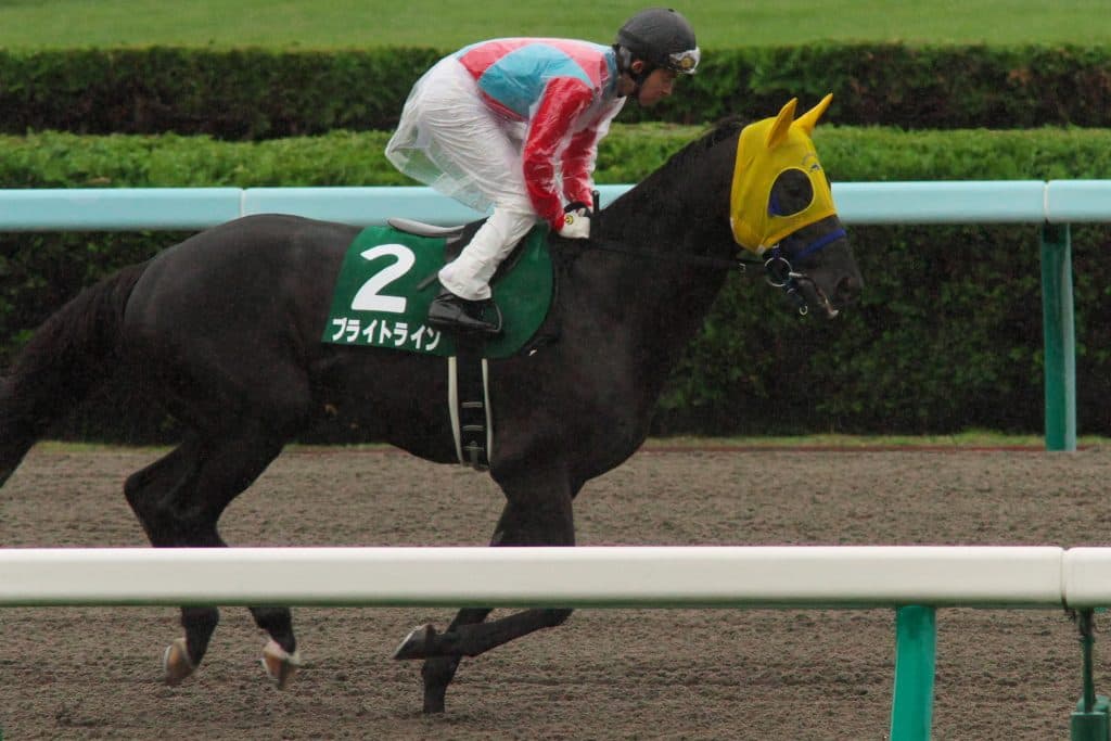 【エルムステークス2016予想】復活気配のブライトラインが格の違いを見せつける！