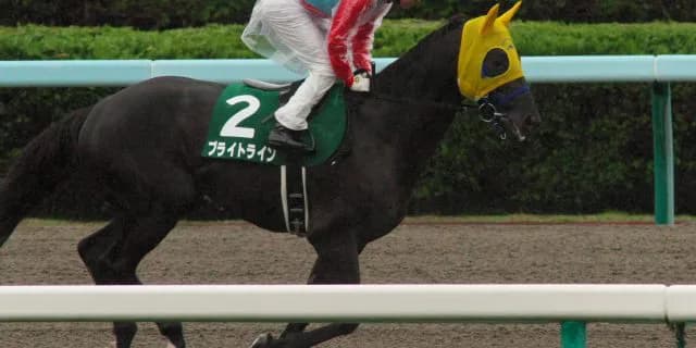 【エルムステークス2016予想】復活気配のブライトラインが格の違いを見せつける！