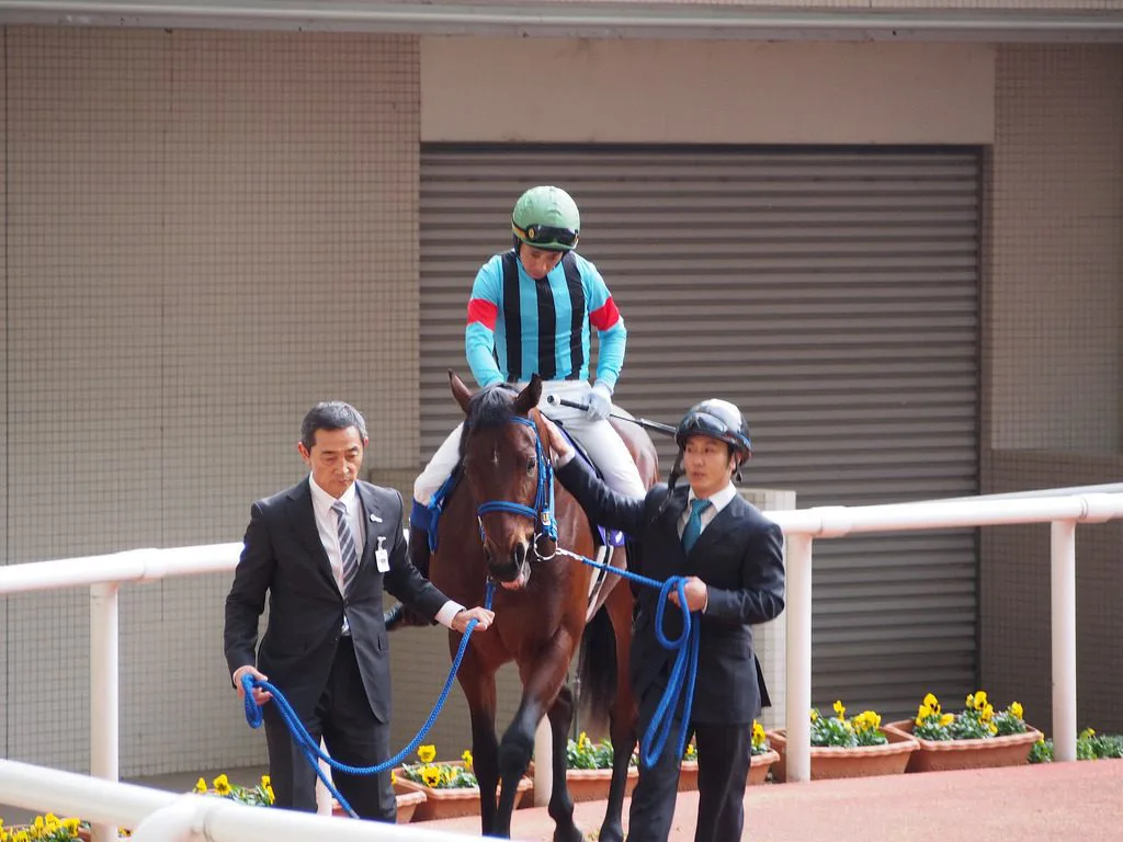 【小倉2歳S予想2016】スプリント戦線の若き星たち！人気上位の有力候補3頭