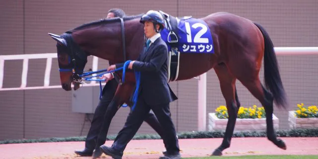 【キーンランドC予想2016】シュウジ、ソルヴェイグ、ドンキ！スプリント路線で出世するのは誰だ？！