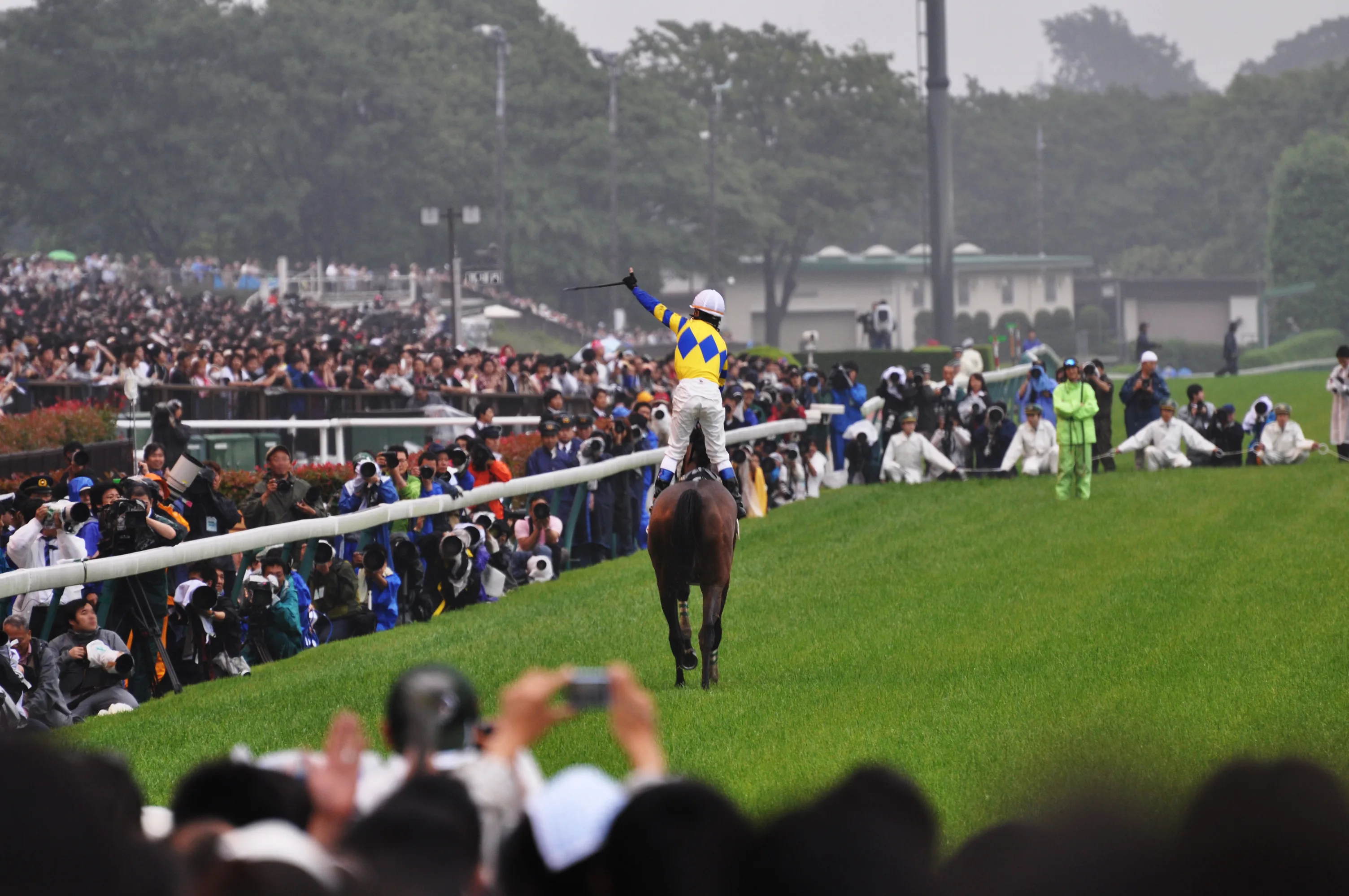 ロジユニヴァース、種牡馬としての秘めた可能性とは？