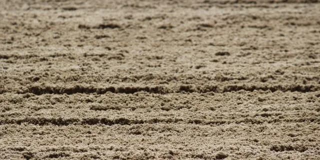 【レパードS予想2016】人気サイド強し、今年も順当な決着となるのか？