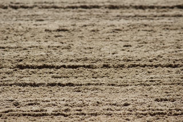 【レパードS予想2016】人気サイド強し、今年も順当な決着となるのか？