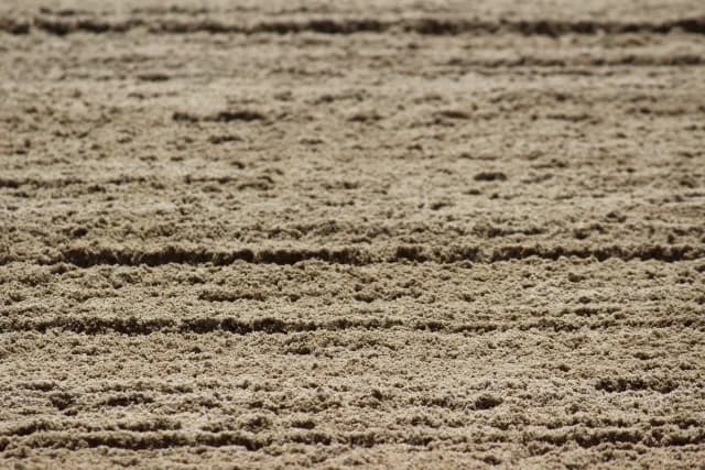 【レパードS予想2016】人気サイド強し、今年も順当な決着となるのか？