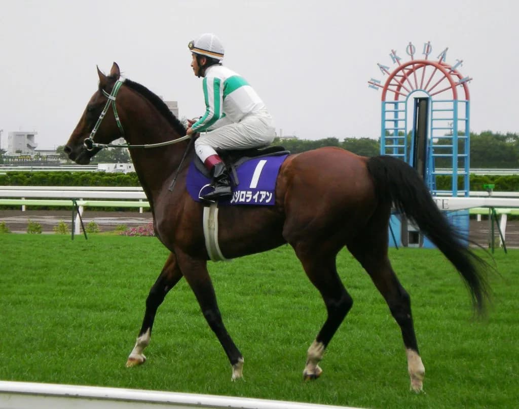 【関屋記念2016予想】鞍上横山典が母父メジロライアンのアルマディヴァンの賞金を稼いでくれる！