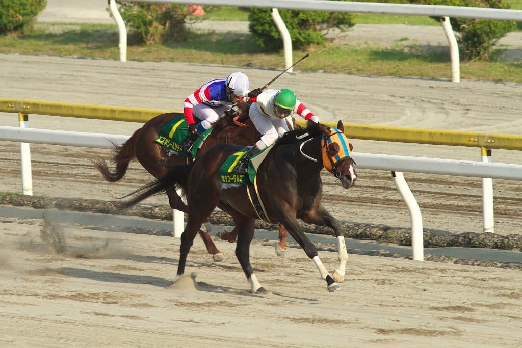 【レパードステークス2016注目馬】3着は取れる伏兵オーシャンビュー。