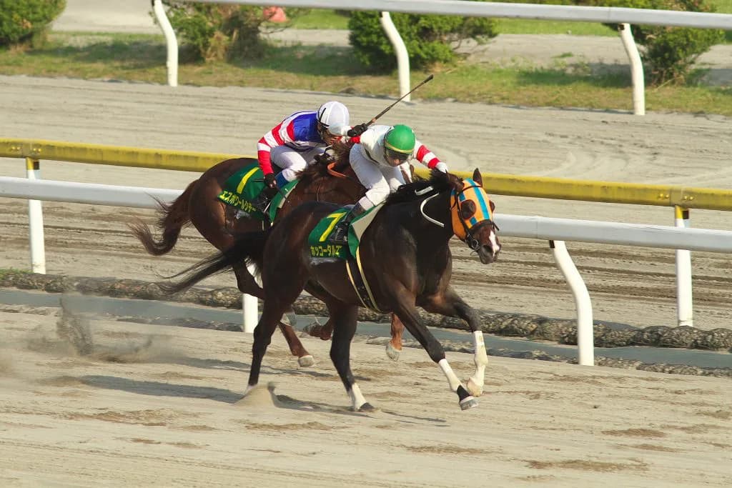 【レパードステークス2016注目馬】3着は取れる伏兵オーシャンビュー。