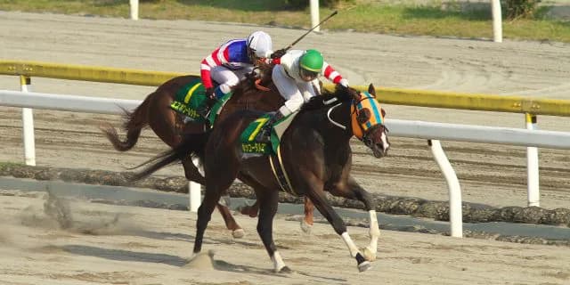 【レパードステークス2016注目馬】3着は取れる伏兵オーシャンビュー。