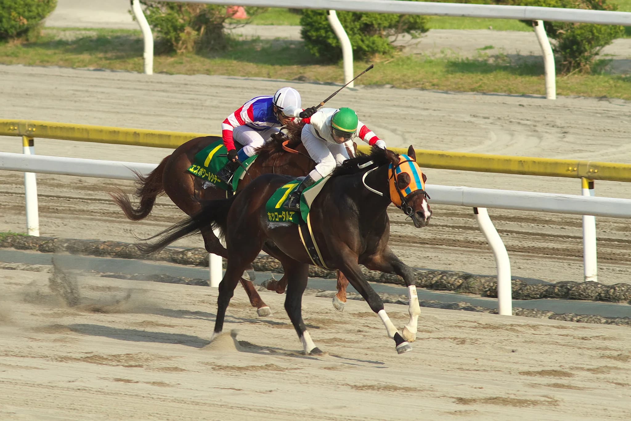 【レパードステークス2016注目馬】3着は取れる伏兵オーシャンビュー。