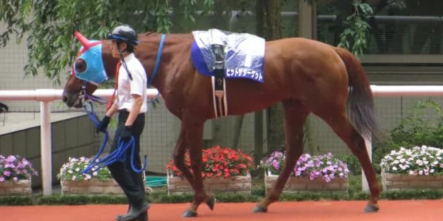 【札幌記念2016予想】今年こそ？！ヒットザターゲットのリベンジなるか？
