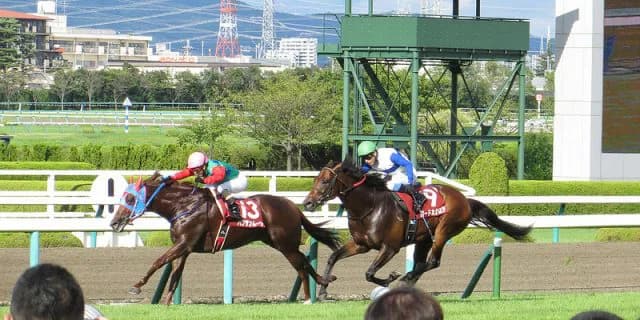 ハクサンムーンが現役引退、種牡馬入り