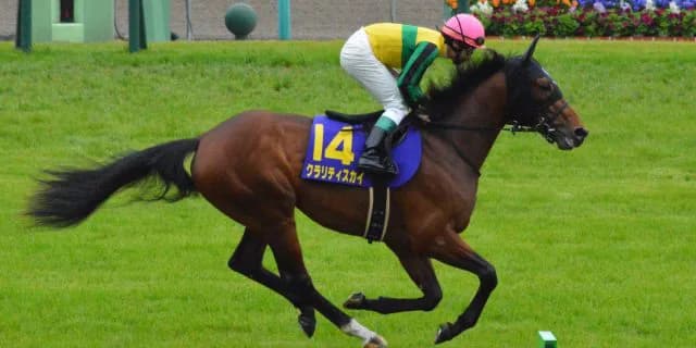 【アイルランドT予想2016】混戦を抜け出すはどの馬か？