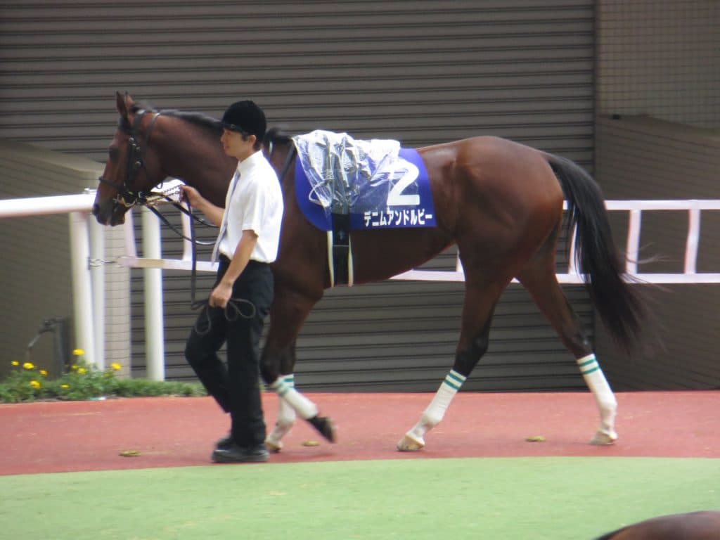 あの名牝がついに帰ってくる！昨年の宝塚記念2着馬を思い出せ！