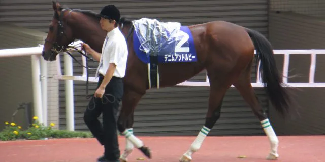 【金鯱賞2016予想】真打登場！デニムアンドルビー復帰戦へ