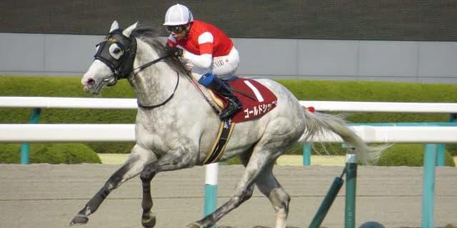 祝ゴールドシップ、記念すべき産駒第1号誕生