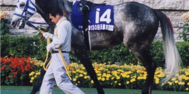 ミラクルおじさん。単勝コロガシで約2億円！！