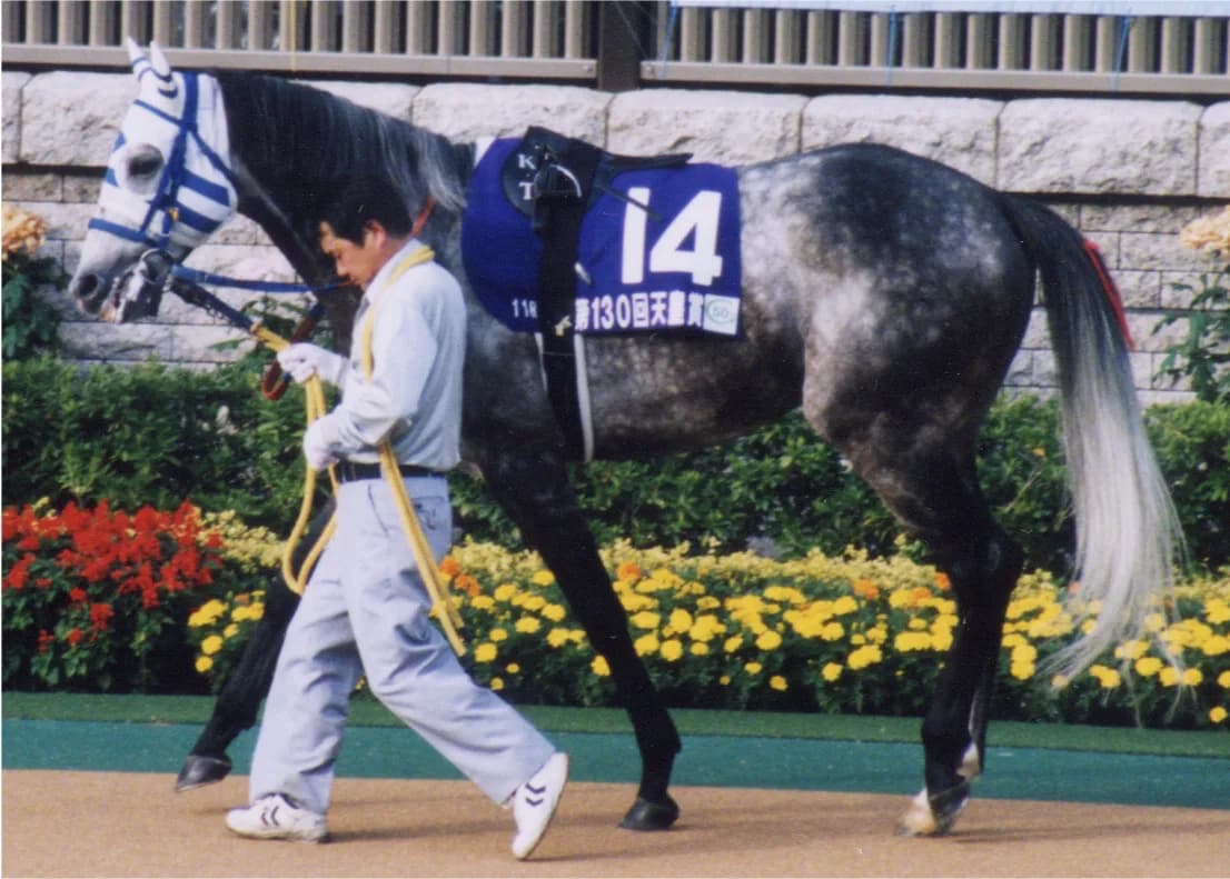 ミラクルおじさん。単勝コロガシで約2億円！！