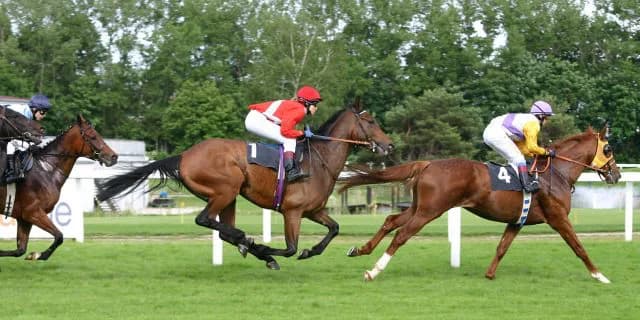 今年も低調なメンバー。盛り上がらないダリア賞