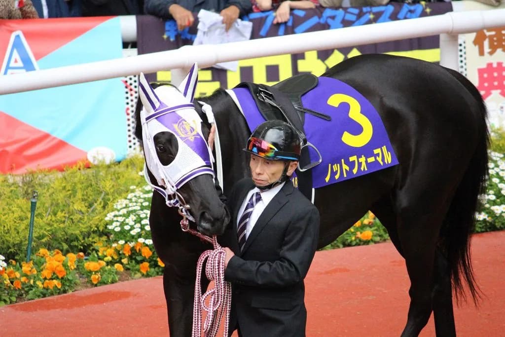 【ブリーダーズゴールドC予想2016】昨年の覇者アムールブリエの連覇なるか？！新女王の誕生で牝馬路線に激震も！