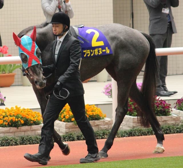 【キーンランドC2016予想】北海道シリーズ2戦2勝のブランボヌール・得意のスプリント路線で古馬を一蹴も！