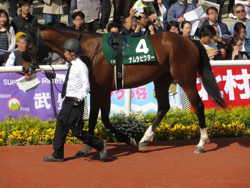 JRAの中でフルゲート枠が最も少ない重賞エルムステークス