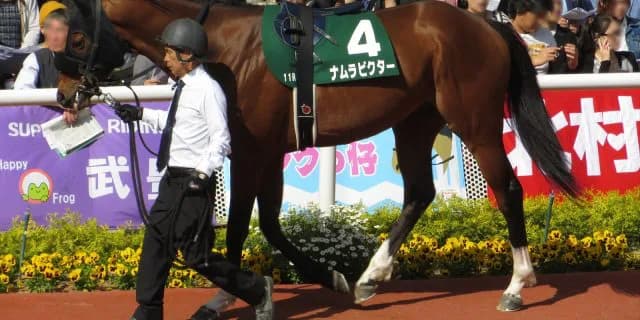 JRAの中でフルゲート枠が最も少ない重賞エルムステークス