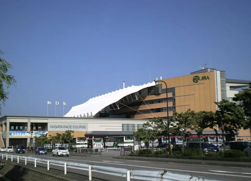 【関屋記念2016予想】サマーマイル初戦に続き好調なピークトラム