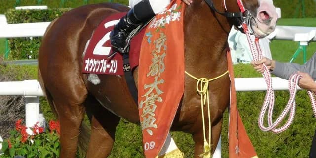 今週の新潟開催1000万条件では馬券に絡むとG1も勝てる可能性がある？