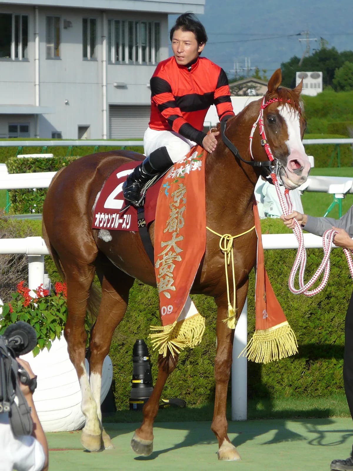 芝もダートもOKなオールラウンダーの血が滅亡の危機?現役時代とは違った毛色を見せている異色の種牡馬