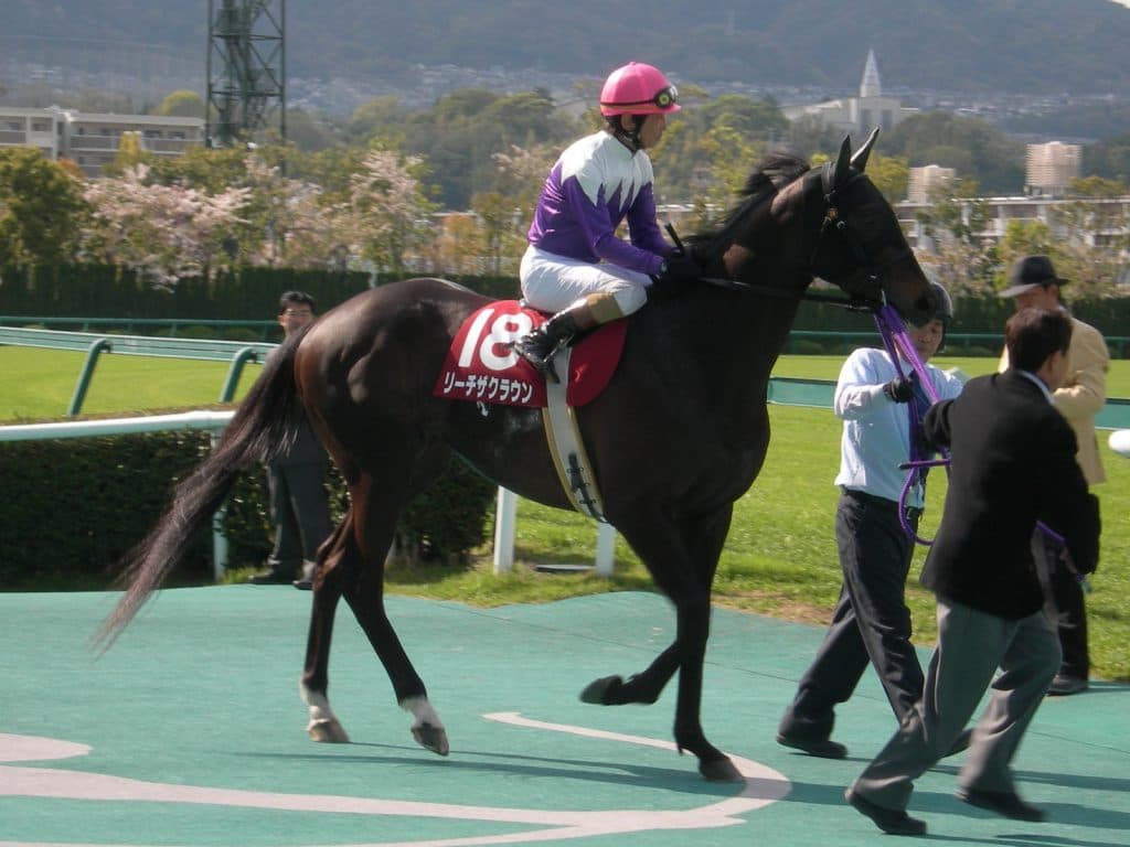 リーチザクラウン社台スタリオンステーションへ