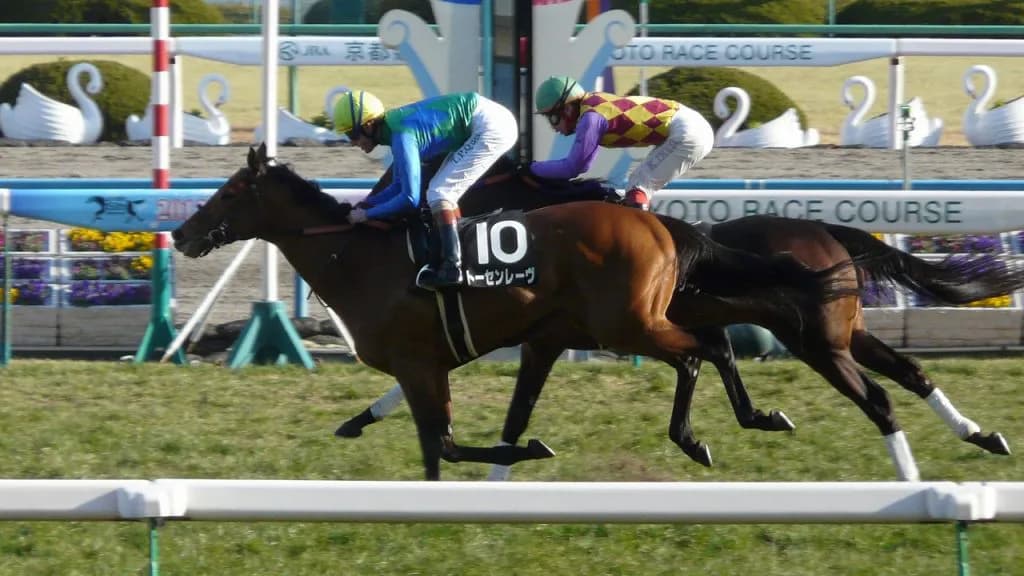 2012年のエプソムCの勝ち馬トーセンレーヴ引退、乗馬へ