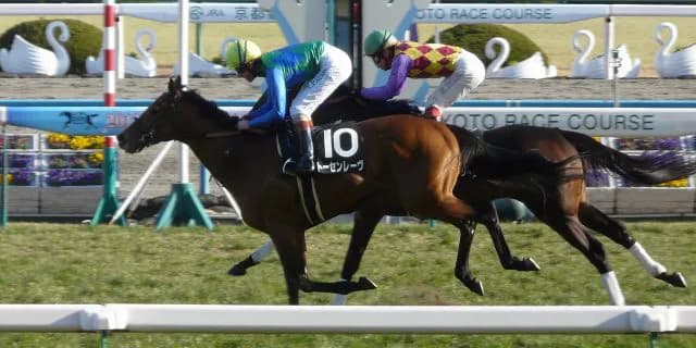 2012年のエプソムCの勝ち馬トーセンレーヴ引退、乗馬へ