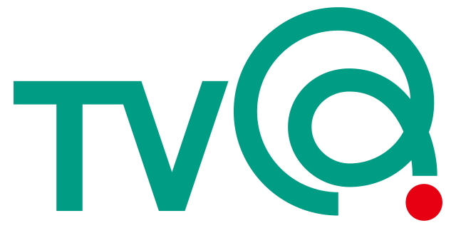 出走するのも大変。TVQ杯