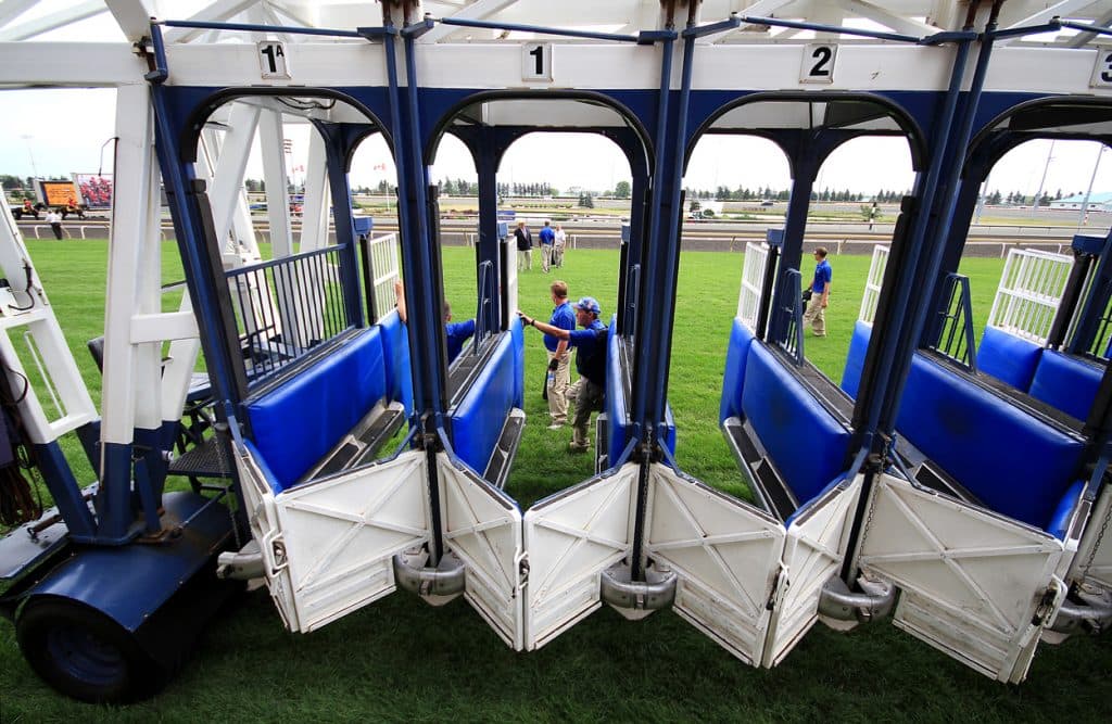 【フェニックス賞考察】テンのスピードが命！