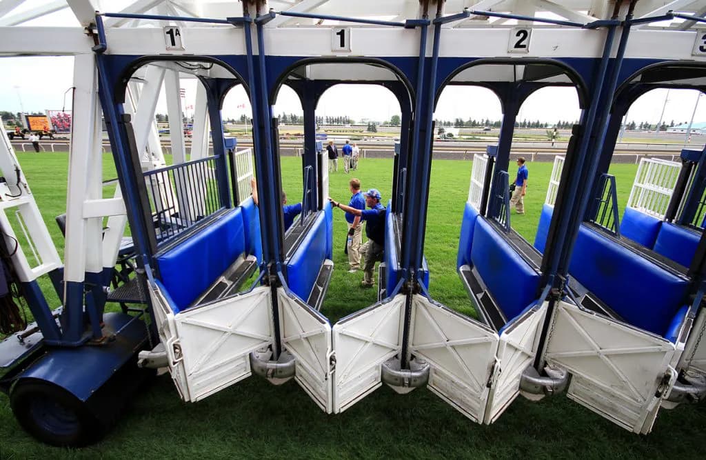 【フェニックス賞考察】テンのスピードが命！