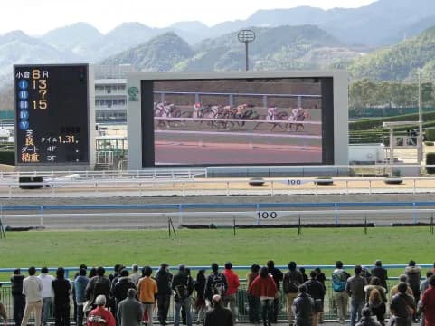 【小倉記念予想2016】穴党歓喜！三連単平均34万、過去10年1番人気の勝ちはゼロ、高配当狙うならココ！