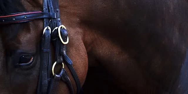 【秋華賞2016予想】桜花賞馬ジュエラー、前走11着から巻き返せるのか？