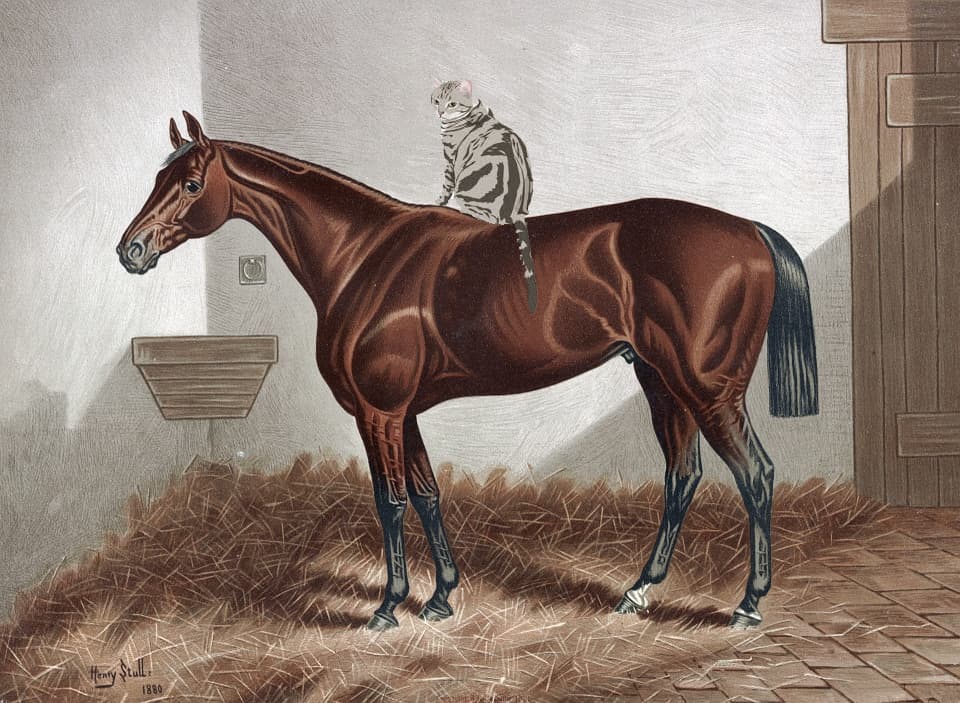 【追憶の名馬面】キンツェム