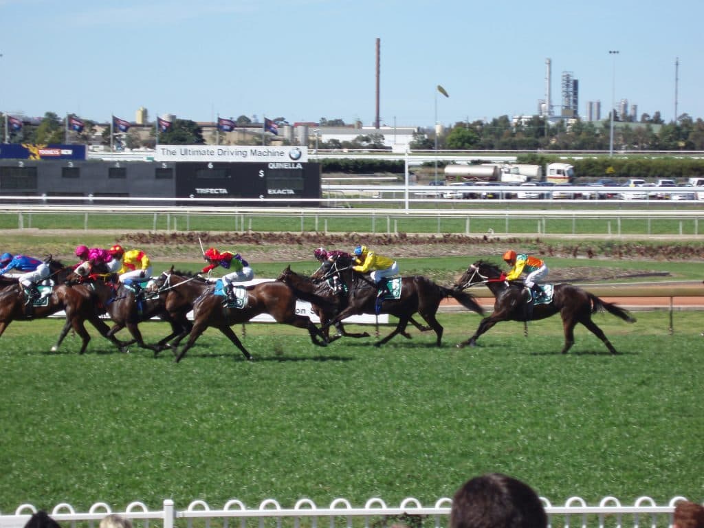 【レパードS2016予想】グレンツェントとケイティブレイブ、買うべき馬はどっちだ？！秘密兵器の1頭はこの馬！