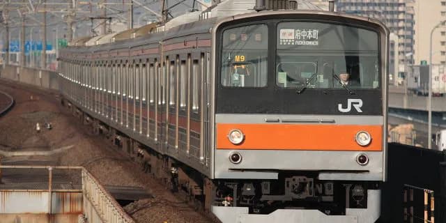 中山競馬場と東京競馬場を結ぶ武蔵野線の落とし穴