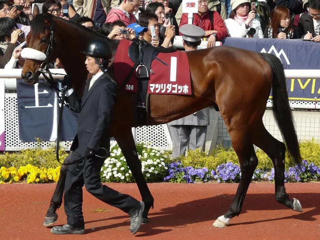 【京成杯AH予想2016】ロードクエスト始動。父から中山適性は引き継げるか！？