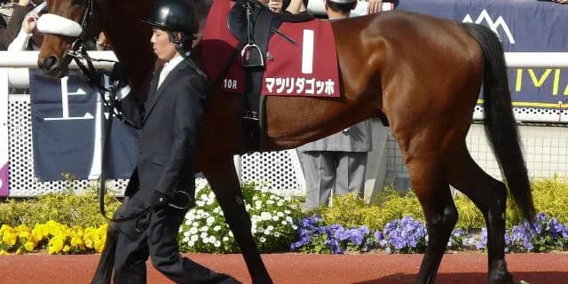 【京成杯AH予想2016】ロードクエスト始動。父から中山適性は引き継げるか！？