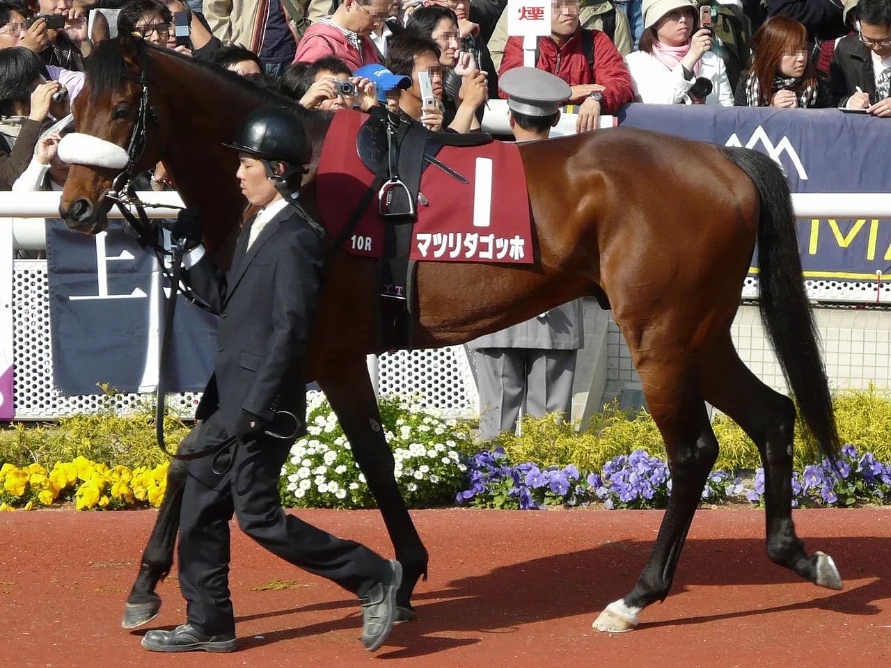 【京成杯AH予想2016】ロードクエスト始動。父から中山適性は引き継げるか!?