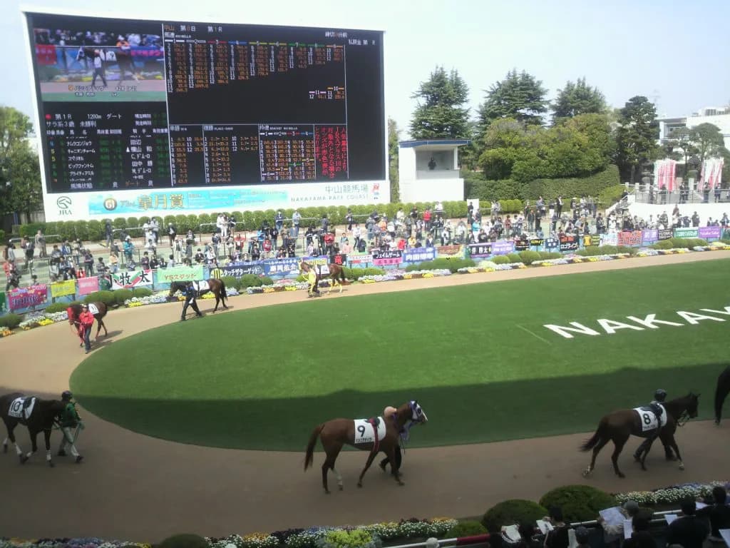 【カペラステークス2025予想】“中山専用機”ニットウバジル、凡走2戦は度外視