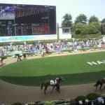 【カペラステークス2025予想】“中山専用機”ニットウバジル、凡走2戦は度外視